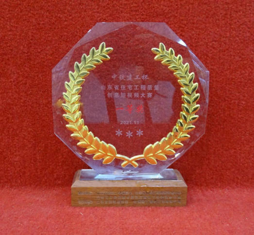 山东省住建工程质量短视频大赛一等奖