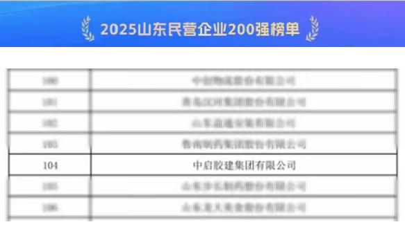 喜报！公司荣登“2025山东民营企业200强榜单”